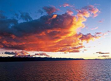 暴雪嘉年华2024被暴雪取消了 将在未来几年内回归